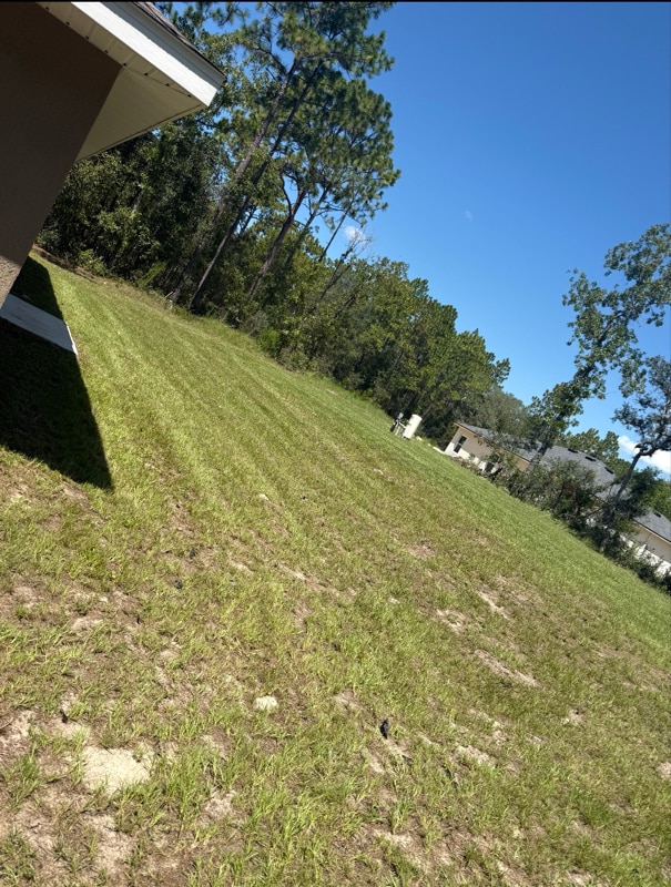 6949 SW 152nd St in Ocala, FL - Building Photo - Building Photo