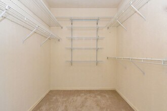 4517 NW 37th Terrace in Gainesville, FL - Building Photo - Building Photo