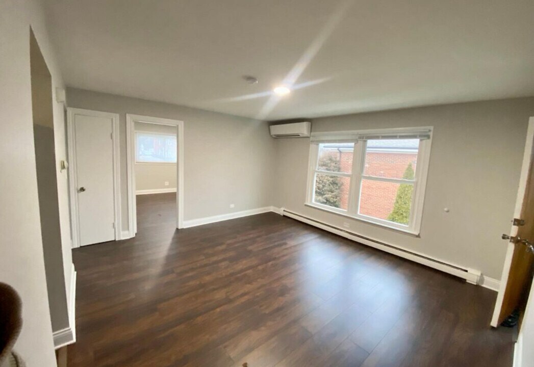 805 Hickory St, Unit 3 in Lemont, IL - Building Photo