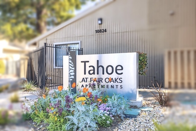 Tahoe at Fair Oaks Apartments Photo