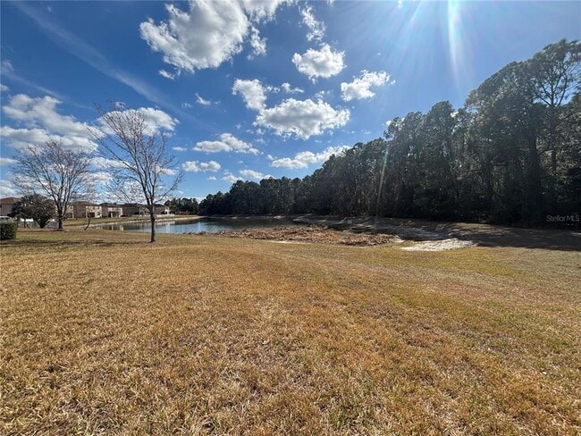 20014 Date Palm Way in Tampa, FL - Building Photo - Building Photo