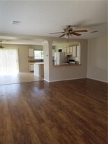 3708 Blue Cat Way in Round Rock, TX - Building Photo - Building Photo