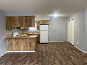 1046 S Lexington Ave in Springfield, MO - Building Photo - Building Photo