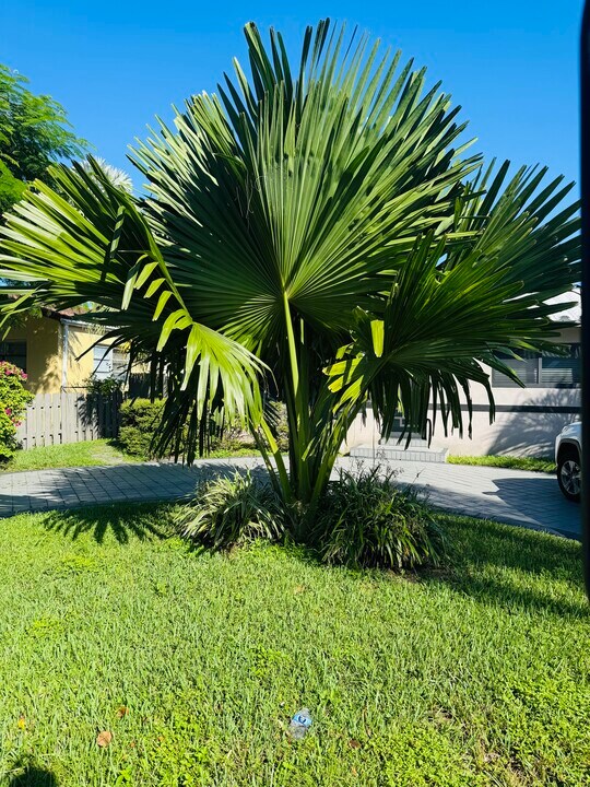 7771 Simms St in Hollywood, FL - Building Photo