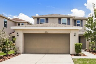 10716 Southern Forest Dr in Riverview, FL - Building Photo