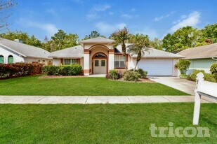 856 Crestridge Cir in Tarpon Springs, FL - Building Photo