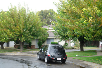 2928 Norcade Cor in Sacramento, CA - Foto de edificio - Building Photo