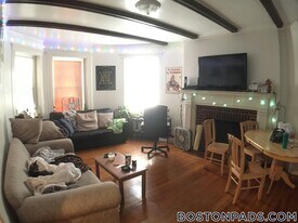 157 Thorndike St in Brookline, MA - Building Photo