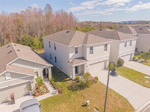 16858 Secret Meadow Dr in Odessa, FL - Building Photo - Building Photo