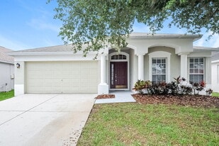 10313 Hunters Haven Blvd in Riverview, FL - Building Photo