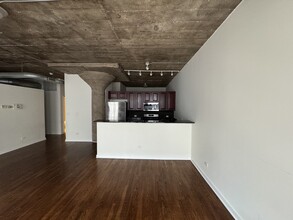 1069 W 14th Pl in Chicago, IL - Building Photo - Building Photo
