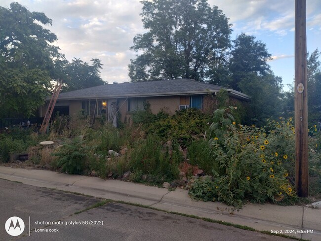 2121 McDougal St in Denver, CO - Foto de edificio - Building Photo