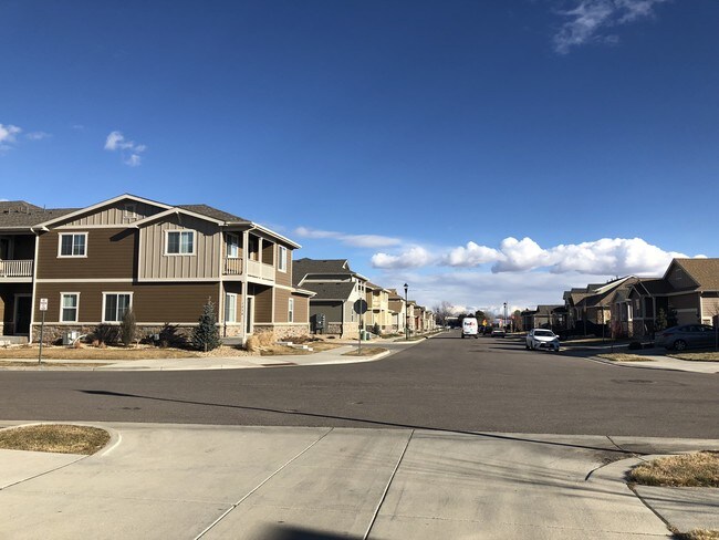 1229 Bistre St in Longmont, CO - Building Photo - Building Photo