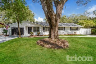 2932 E 148th Ave in Lutz, FL - Building Photo