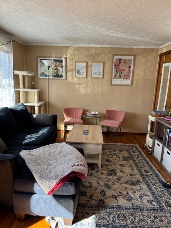 223 Hanna Ln-Unit -Main Level in Lexington, VA - Building Photo - Building Photo