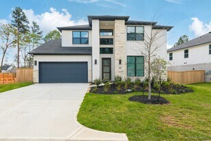 215 Warbler Song Dr in Willis, TX - Building Photo
