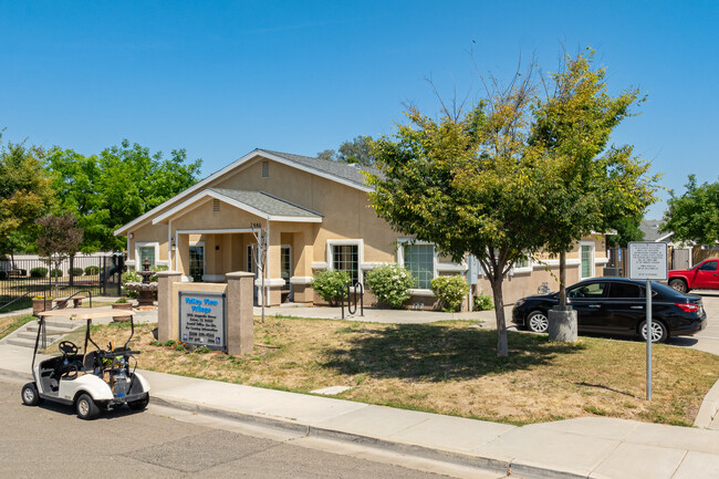 Valley View Village in Selma, CA - Foto de edificio - Primary Photo