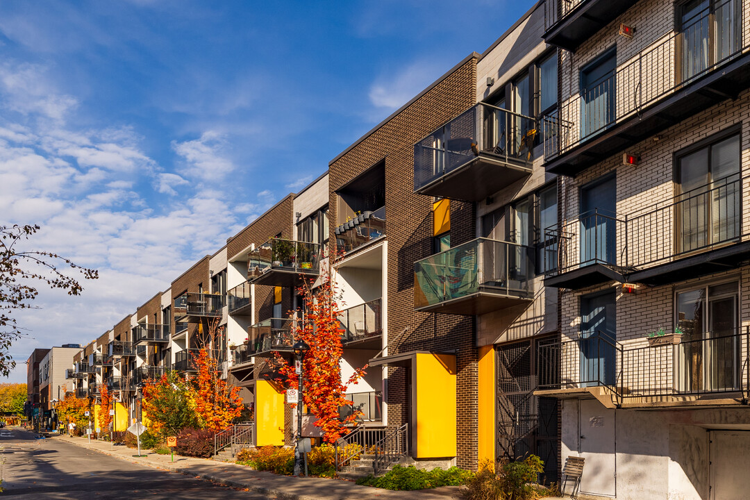 3511-3581 Saint-Dominique Rue in Montréal, QC - Building Photo