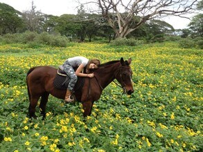 68-434-434 Farrington Hwy in Waialua, HI - Building Photo - Building Photo