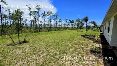 20125 Camino Torcido Lp in North Fort Myers, FL - Building Photo - Building Photo