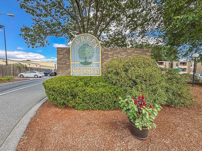 14 Shrewsbury Green Dr in Shrewsbury, MA - Building Photo - Building Photo