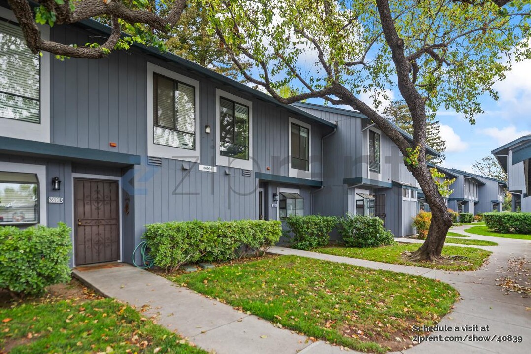 36931 Newark Blvd in Newark, CA - Building Photo