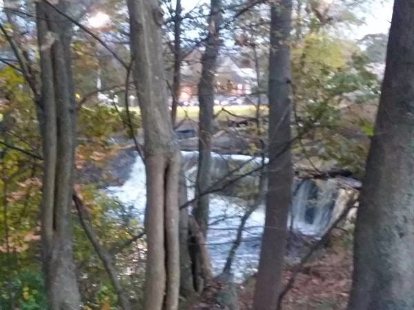 188 Colburn St, Unit 188 in Dedham, MA - Building Photo