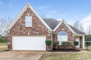 8347 Wild Dune Ln in Arlington, TN - Building Photo
