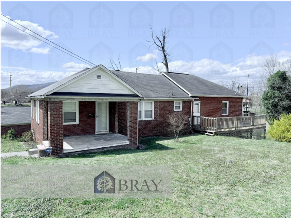 718 Birch St in Kingsport, TN - Building Photo