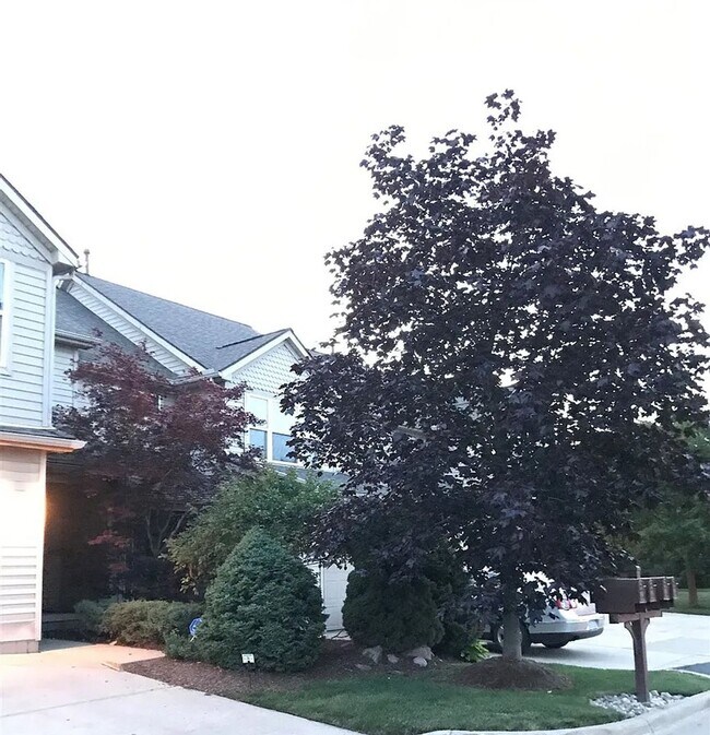 3520 Meadow Grove Trail in Ann Arbor, MI - Building Photo - Building Photo