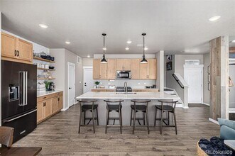 4522 Barrow Ln in Timnath, CO - Building Photo - Building Photo