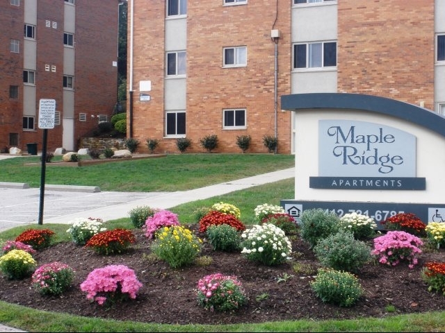 Maple Ridge in Pittsburgh, PA - Foto de edificio - Building Photo