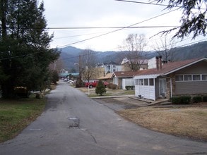 419 Haynes Ln in Gatlinburg, TN - Building Photo - Building Photo