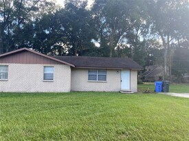 12007 Homerville Ln in Seffner, FL - Building Photo