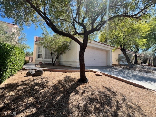 7645 Rockfield Dr in Las Vegas, NV - Building Photo - Building Photo