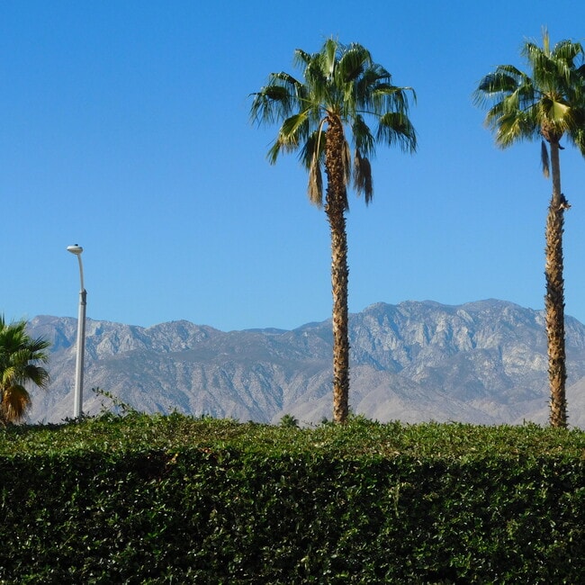 14 Mission Palms Dr W in Rancho Mirage, CA - Building Photo - Building Photo