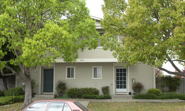 Forest Avenue Townhomes in Castro Valley, CA - Building Photo - Building Photo