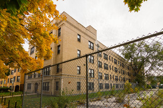 238 N Pine Ave in Chicago, IL - Foto de edificio - Building Photo