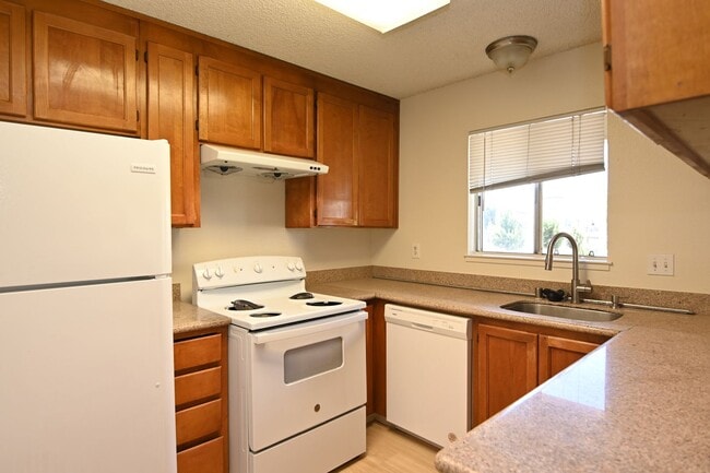 3850 Meeks Terrace in Fremont, CA - Building Photo - Building Photo