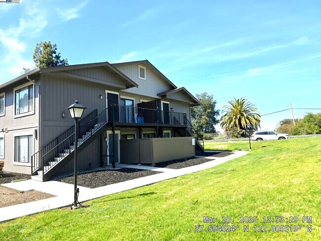 136 Donoso Plaza in Union City, CA - Foto de edificio - Building Photo