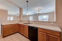 17338 Turquoise Stream Dr photo'