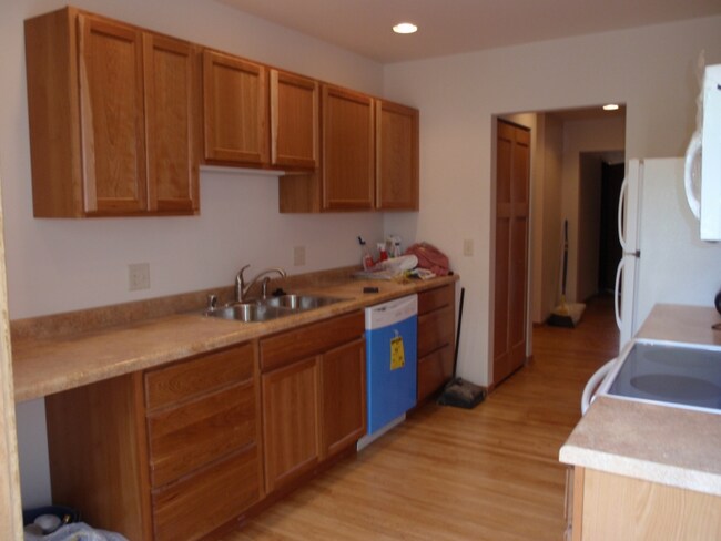 520-524 S Park St in Madison, WI - Building Photo - Building Photo