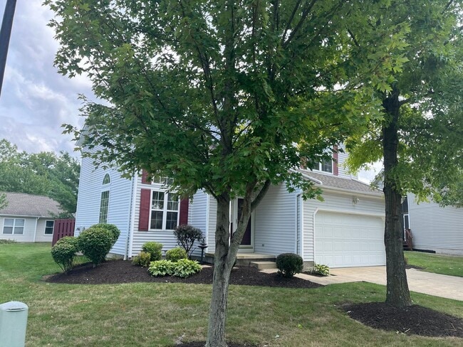 3857 Reeves Ln in Medina, OH - Building Photo - Building Photo