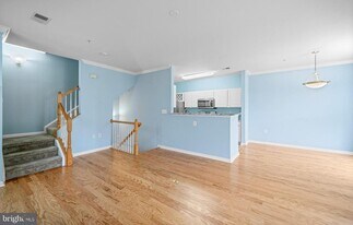 13121 Marcey Creek Rd in Herndon, VA - Building Photo