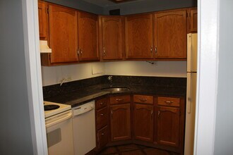 555 W Cornelia Ave, Unit 1107 in Chicago, IL - Building Photo - Building Photo