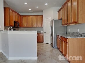 19609 Timberbluff Dr in Land O Lakes, FL - Building Photo - Building Photo