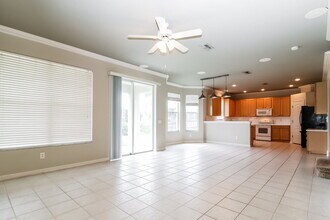 1709 Pink Guara Ct in Trinity, FL - Building Photo - Building Photo