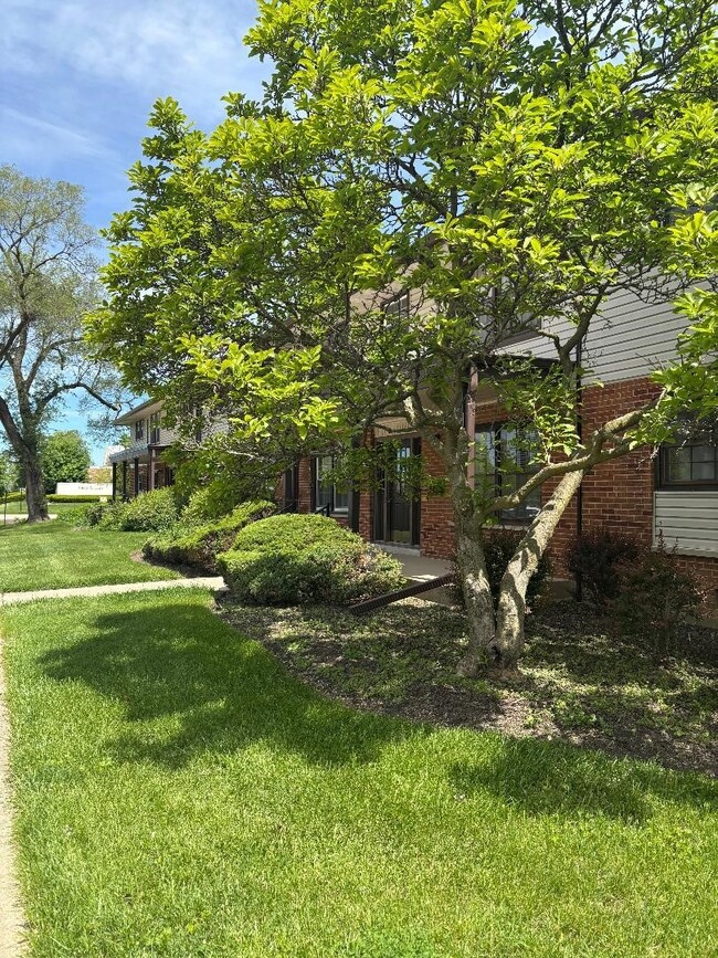209 Washington Square in Elk Grove Village, IL - Building Photo - Building Photo