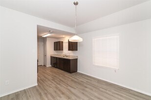 24311 Treviso Gardens Dr in Katy, TX - Building Photo