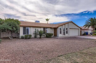 1619 W El Alba Way in Chandler, AZ - Building Photo
